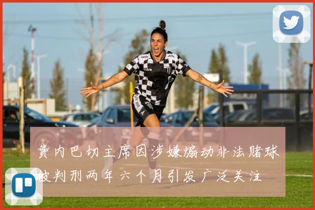 费内巴切主席因涉嫌煽动非法赌球被判刑两年六个月引发广泛关注